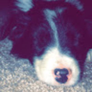 Meet your Posher, Kenny